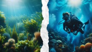 Oceans