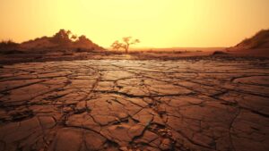 Fewer Rain
