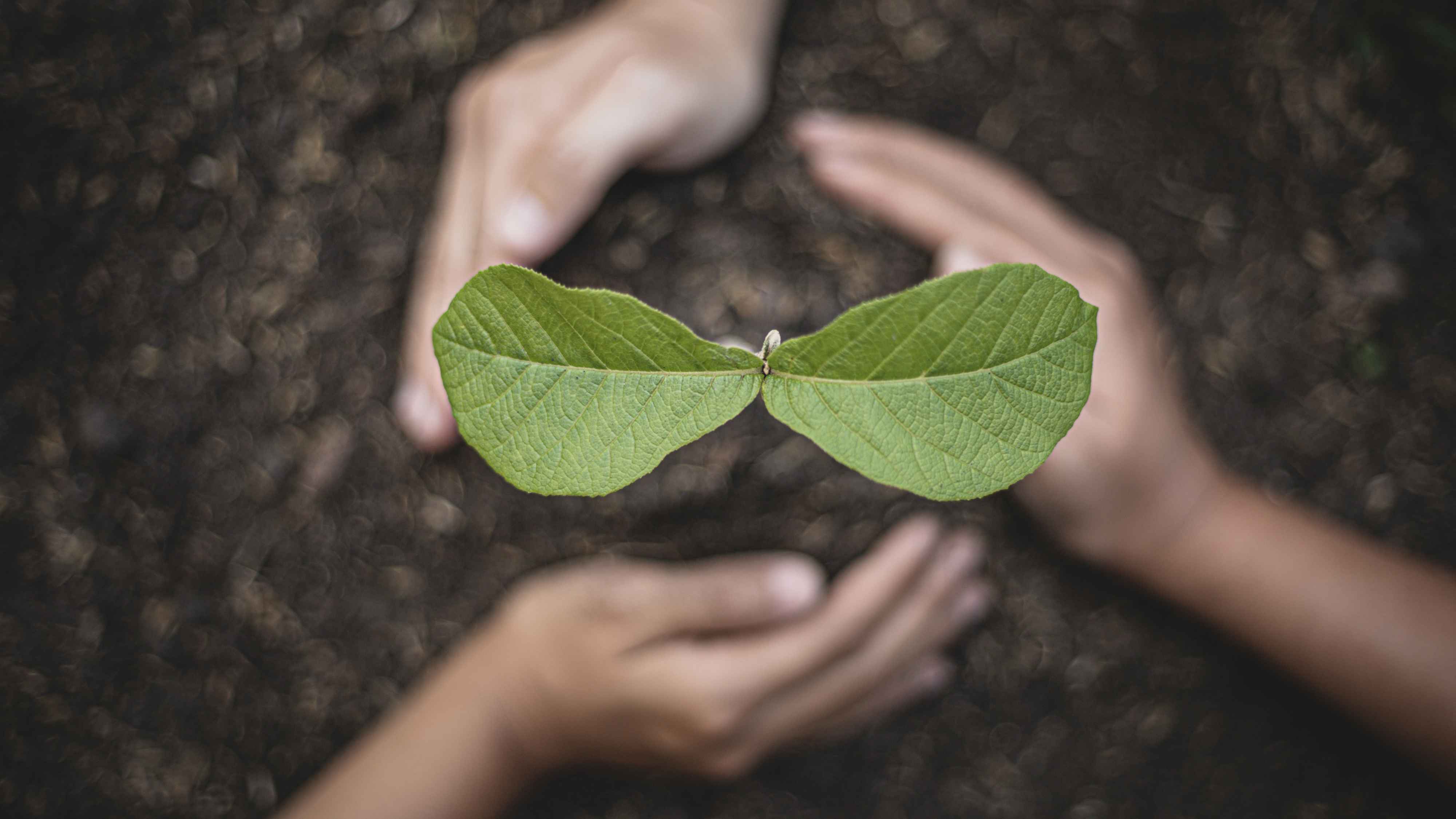 Environmental Learning