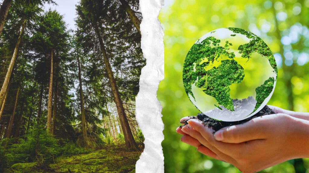 Forest Conservation