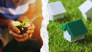 Eco-Friendly Summer Projects