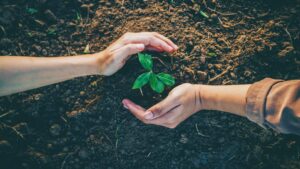 Why Plants Matter