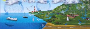 Water Cycle