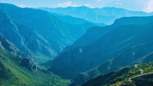 How Ecosystems Work Together