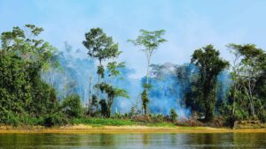 What Harms Ecosystems?