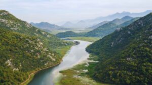 Why Ecosystems Are Important