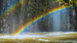 Facts About Rainbows